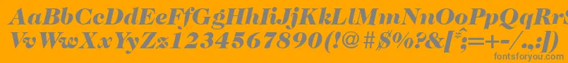 Caslon335blackRegularitalic Font – Gray Fonts on Orange Background