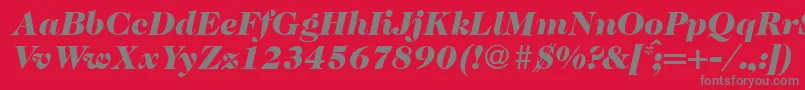 Шрифт Caslon335blackRegularitalic – серые шрифты на красном фоне