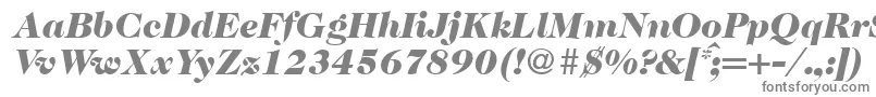 Czcionka Caslon335blackRegularitalic – szare czcionki