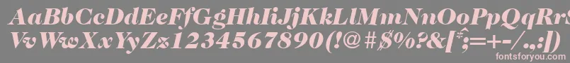 Czcionka Caslon335blackRegularitalic – różowe czcionki na szarym tle