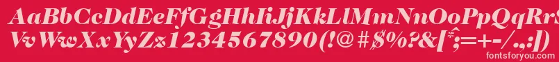 Police Caslon335blackRegularitalic – polices roses sur fond rouge