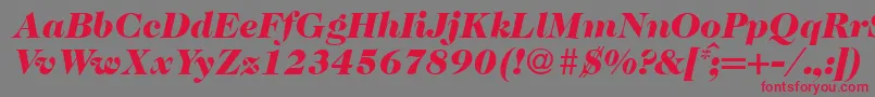 Fonte Caslon335blackRegularitalic – fontes vermelhas em um fundo cinza