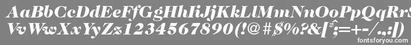 Czcionka Caslon335blackRegularitalic – białe czcionki na szarym tle