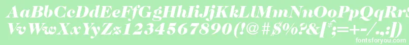 Fonte Caslon335blackRegularitalic – fontes brancas em um fundo verde