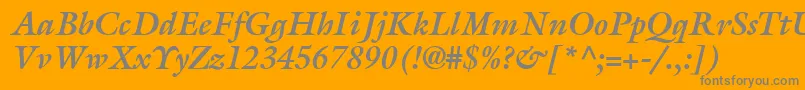 AcanthusSsiBoldItalic Font – Gray Fonts on Orange Background