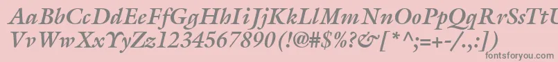 AcanthusSsiBoldItalic Font – Gray Fonts on Pink Background