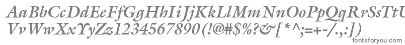 フォントAcanthusSsiBoldItalic – 白い背景に灰色の文字