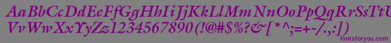 AcanthusSsiBoldItalic Font – Purple Fonts on Gray Background