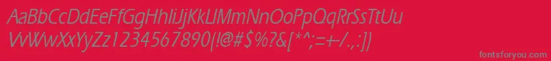 ErgoemediumcondensedItalic Font – Gray Fonts on Red Background