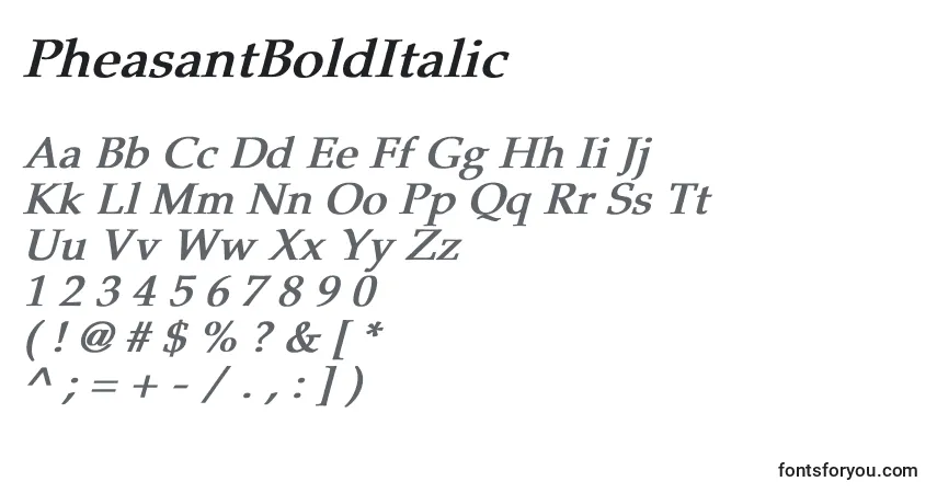 Шрифт PheasantBoldItalic – алфавит, цифры, специальные символы