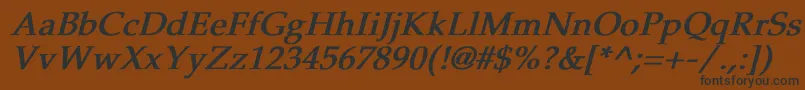 PheasantBoldItalic Font – Black Fonts on Brown Background