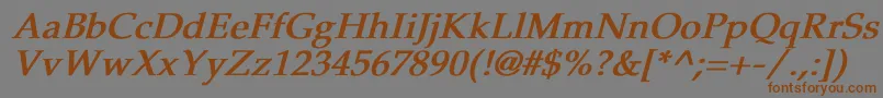 Saiba mais sobre a fonte PheasantBoldItalic Fonte PheasantBoldItalic – fontes marrons em um fundo cinza