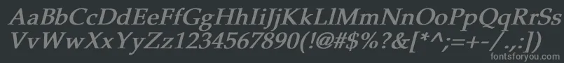 フォントPheasantBoldItalic – 黒い背景に灰色の文字