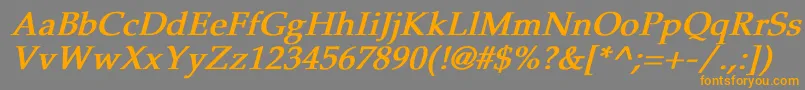 PheasantBoldItalic Font – Orange Fonts on Gray Background