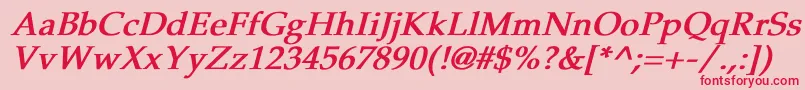 PheasantBoldItalic Font – Red Fonts on Pink Background