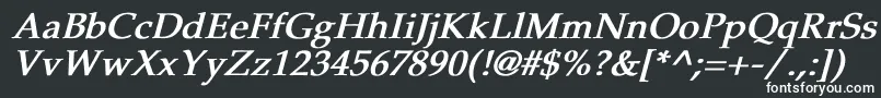 PheasantBoldItalic Font – White Fonts on Black Background