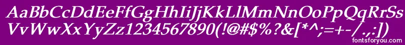 フォントPheasantBoldItalic – 紫の背景に白い文字