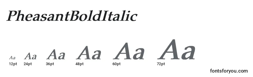 Размеры шрифта PheasantBoldItalic