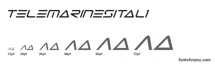 Размеры шрифта Telemarinesital1
