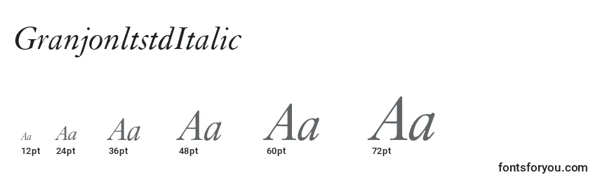 Размеры шрифта GranjonltstdItalic