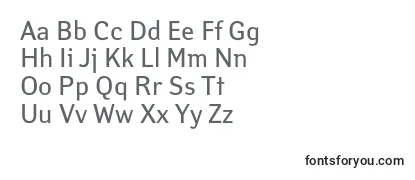 Обзор шрифта Yanusc