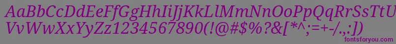 Notoserif Italic-fontti – violetit fontit harmaalla taustalla