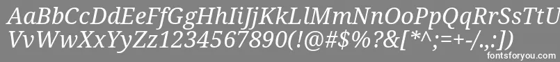 Czcionka Notoserif Italic – białe czcionki na szarym tle