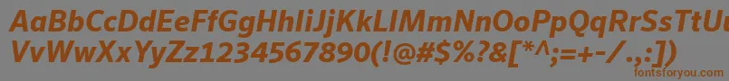 En savoir plus sur la police SeroWeBproBoldItalic Police SeroWeBproBoldItalic – polices brunes sur fond gris