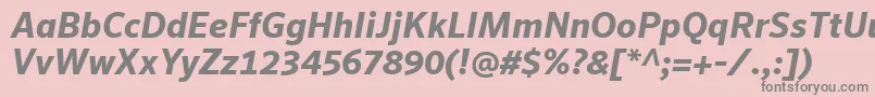 Police SeroWeBproBoldItalic – polices grises sur fond rose