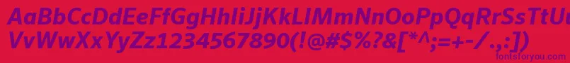 SeroWeBproBoldItalic Font – Purple Fonts on Red Background