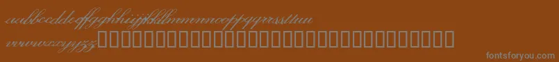 Więcej informacji o czcionce Myarose Czcionka Myarose – szare czcionki na brązowym tle