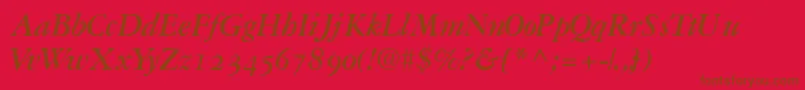 Garamondrepriseosssk Font – Brown Fonts on Red Background