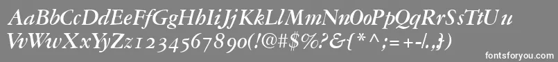 Garamondrepriseosssk Font – White Fonts on Gray Background