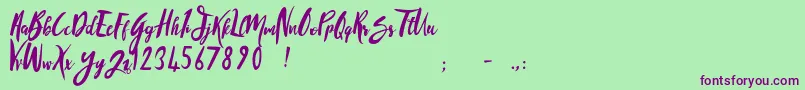 SandyliteRegular Font – Purple Fonts on Green Background