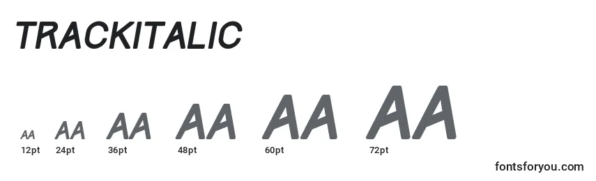 Размеры шрифта TrackItalic
