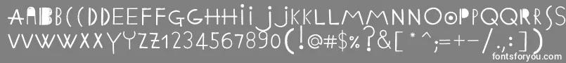 EthnicabcRegularWebfont Font – White Fonts on Gray Background