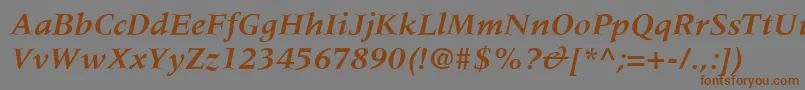 MeridienLtBoldItalic Font – Brown Fonts on Gray Background