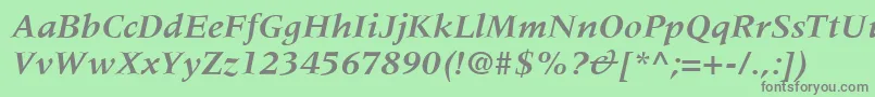 MeridienLtBoldItalic Font – Gray Fonts on Green Background