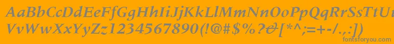 MeridienLtBoldItalic Font – Gray Fonts on Orange Background