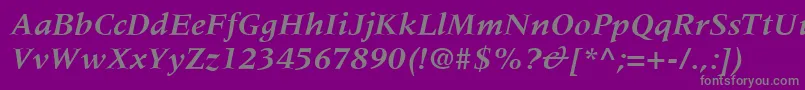 MeridienLtBoldItalic-Schriftart – Graue Schriften auf violettem Hintergrund