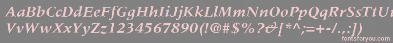 MeridienLtBoldItalic Font – Pink Fonts on Gray Background