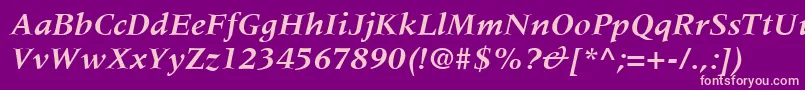 MeridienLtBoldItalic Font – Pink Fonts on Purple Background