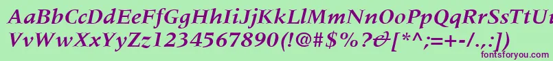 フォントMeridienLtBoldItalic – 緑の背景に紫のフォント