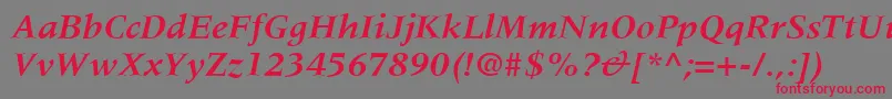MeridienLtBoldItalic Font – Red Fonts on Gray Background