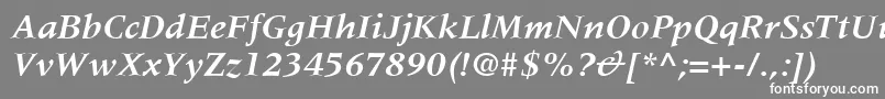 Шрифт MeridienLtBoldItalic – белые шрифты на сером фоне