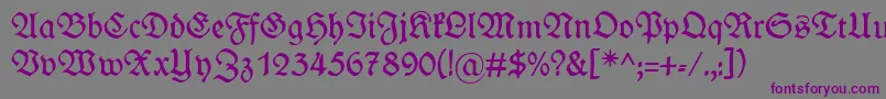 Wieynkfraktur-Schriftart – Violette Schriften auf grauem Hintergrund