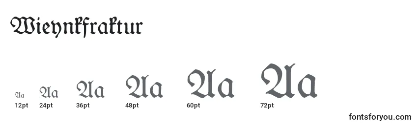 Размеры шрифта Wieynkfraktur