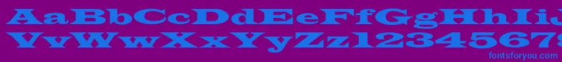 LatinWideextNormal-fontti – siniset fontit violetilla taustalla