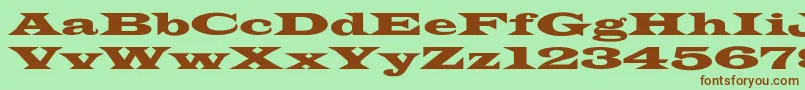 LatinWideextNormal Font – Brown Fonts on Green Background