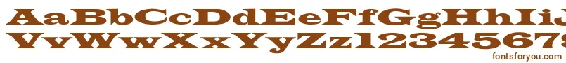 Czcionka LatinWideextNormal – brązowe czcionki na białym tle